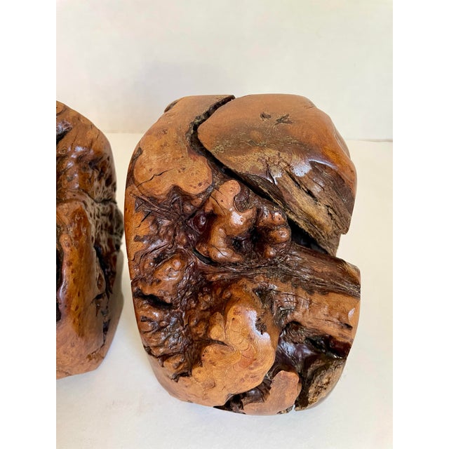 Brown Vintage Burlwood Live Edge Bookends For Sale - Image 8 of 11