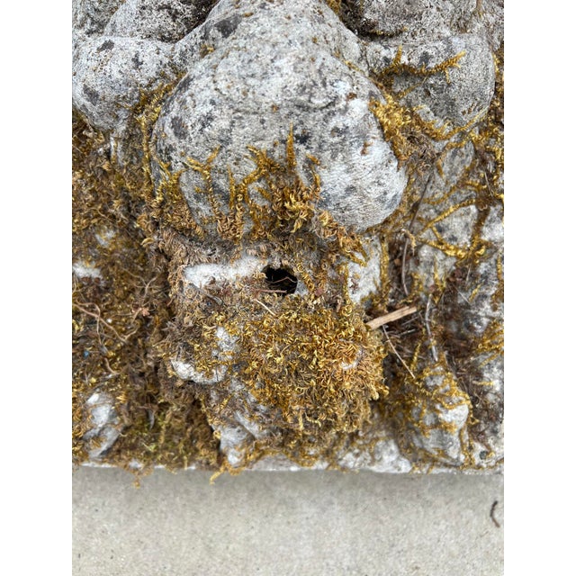 19th Century Authentic 19th Century French Carved Stone Lion Fountain Element For Sale - Image 5 of 17