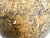 Rare German 1879 Dietrich Reimer Terrestrial Globe, Cartography by Heinrich Kiepert (1818–1899) For Sale - Image 14 of 18