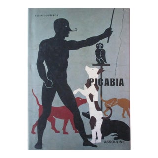 Vintage Picabia Book For Sale