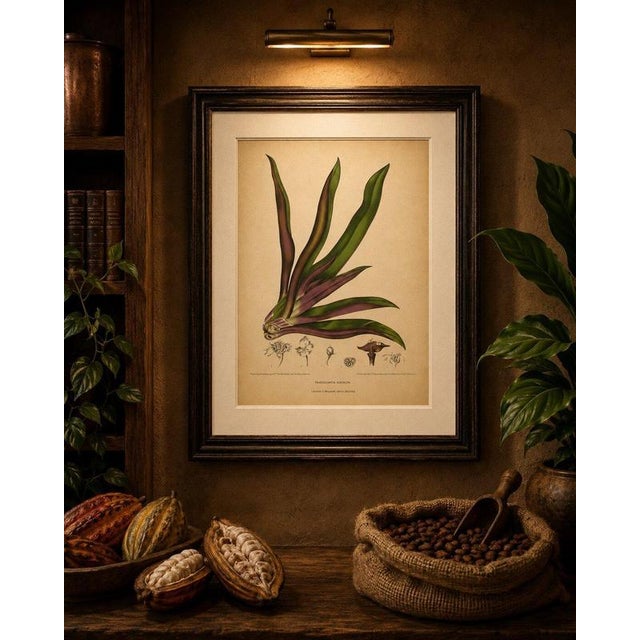 Berthe Hoola van Nooten, Oyster Plant, 1880, Chromolithograph For Sale - Image 9 of 10