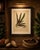 Berthe Hoola van Nooten, Oyster Plant, 1880, Chromolithograph For Sale - Image 9 of 10