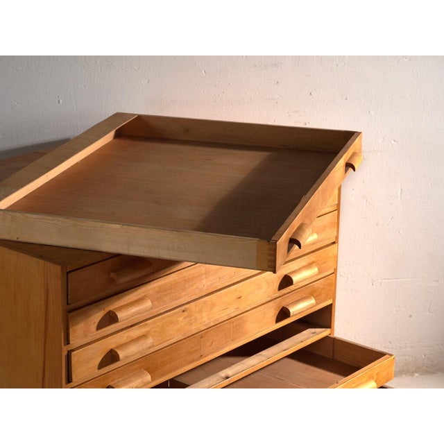 Plan Chest in Beech, Central Europe, 1950 For Sale - Image 10 of 14