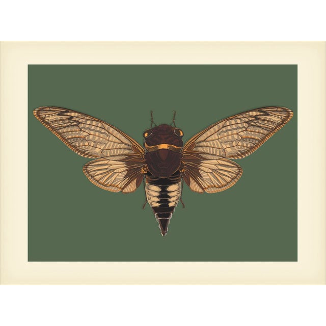 Bugs by Seguy #3 Reproduction For Sale