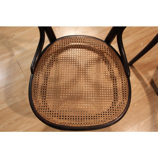 Vintage Chairs by Michael Thonet for Gebrüder Thonet, 1880, Set of 6 For Sale - Image 9 of 13