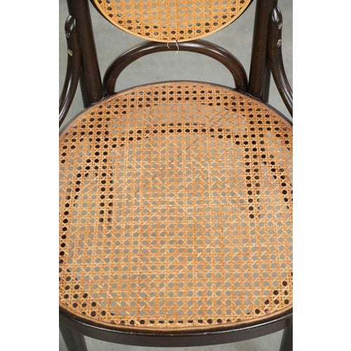Vintage Long John High Back Bentwood Chairs with Webbing Seats from Thonet, Set of 6 For Sale - Image 9 of 17