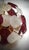 2000 - 2009 Murano Sputnik Art Glass Pendant Light, 2000 For Sale - Image 5 of 10