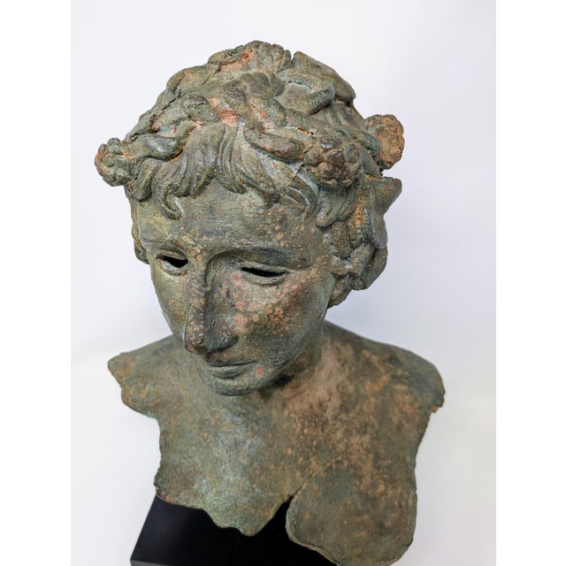 Metal 19th Century Greco-Roman Bronze Bust: Bacchus/Dionysus For Sale - Image 7 of 9