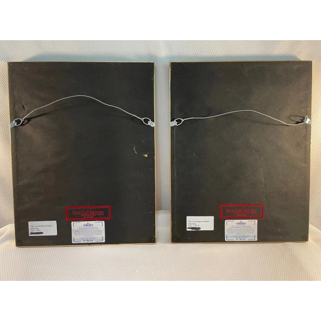 Antique Custom Framed Botanical Engravings - a Pair For Sale - Image 11 of 12