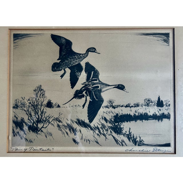 Original Black and White "Pair of Pintails" Drypoint Etching on Paper by Churchill Ettinger. Featuring a rectangular...