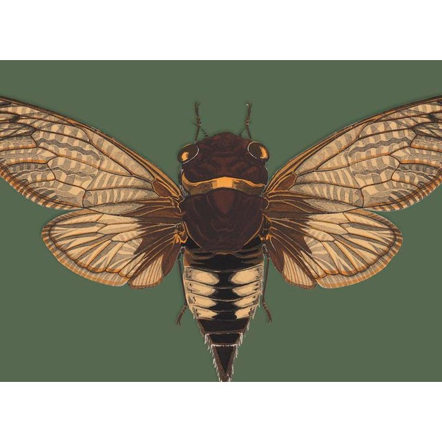 The series was produced by CFA editions from original pochior prints by E.A. Seguy. The series of insects that Seguy...