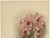 Orchid, 1888, Paper For Sale - Image 4 of 10