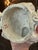 Early 19th Century Antique Pair of Blanc De Chine Falcons For Sale - Image 12 of 12