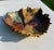 Brown Signed Studio Pottery Leaf Form Decorative Dish For Sale - Image 8 of 10