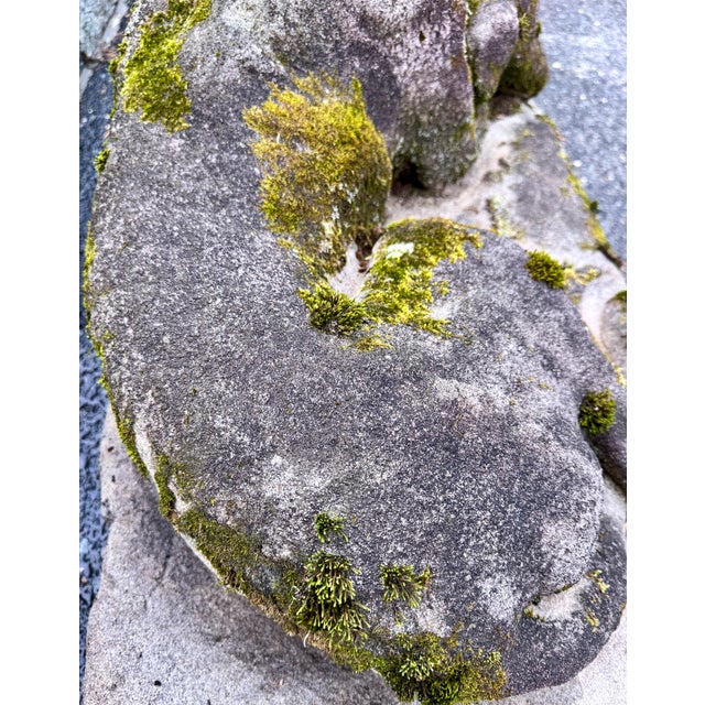 Cast Stone Dog Garden Ornament Statue With Moss Patina Mid 20th Century For Sale - Image 12 of 15