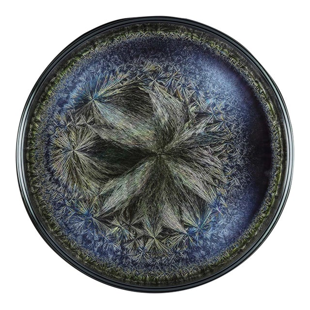 Abstract Contemporary Abstract Chromogenic Print Photography "Morphogenetic Field, Beluga Caviar" by Seb Janiak For Sale - Image 3 of 6