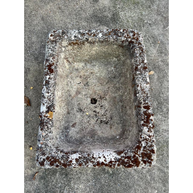 Diminutive Antique French Hand Carved Stone Trough Planter From Provence For Sale In Dallas - Image 6 of 8