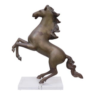 Rearing Horse Sculpture in Bronze on Lucite For Sale