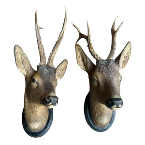 Pair of Black Forest Deer Heads Ceramic Terracotta, Circa 1900