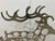 1990s Reindeer Wine Rack For Sale - Image 4 of 7