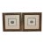 Paragon Echinus Esculentus I & II Art Prints, Set of Two For Sale