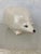 Alabaster Italian Ceramic Hedgehog Planter For Sale - Image 8 of 8
