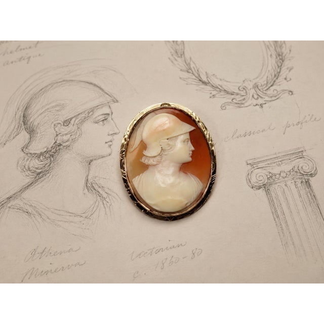 Antique Victorian Shell Cameo Brooch Pendant, Helmeted Classical Figure, 10k For Sale - Image 10 of 10