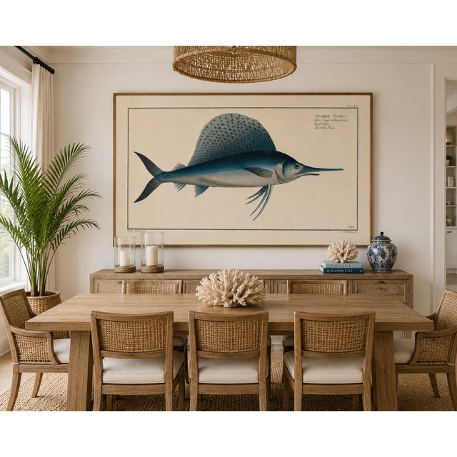 Atlantic Sailfish, Vintage Fish Art Print Reproduction, 48" X 32" For Sale In Buffalo - Image 6 of 11