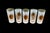 1970s 1970s Mid-Century Modern Federal Glass Atomic 22 Karat Gold North Star Mid-Century Highball Glasses Starburst Set of 5 Bartlett-Collins For Sale - Image 5 of 7