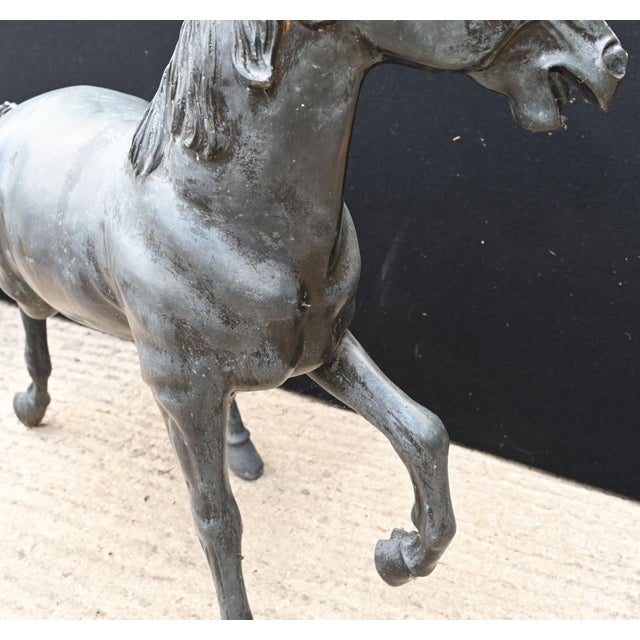 Italian Outdoor Horse Statue in Bronze For Sale - Image 9 of 10
