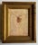 Scott Zuckerman (American b. 1951) oil painting on board - insect specimen study of a beetle. Frame measures 7 3/4" x 6...