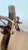 Ecru Mid 20th C. Camel Saddle Stool With Reversible Cushion and Original Bell For Sale - Image 8 of 11