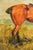 Green Wonderful Antique Oil Painting of Horse Signed Equestrian Portrait in Gilt Gesso Frame English Country Art For Sale - Image 8 of 13