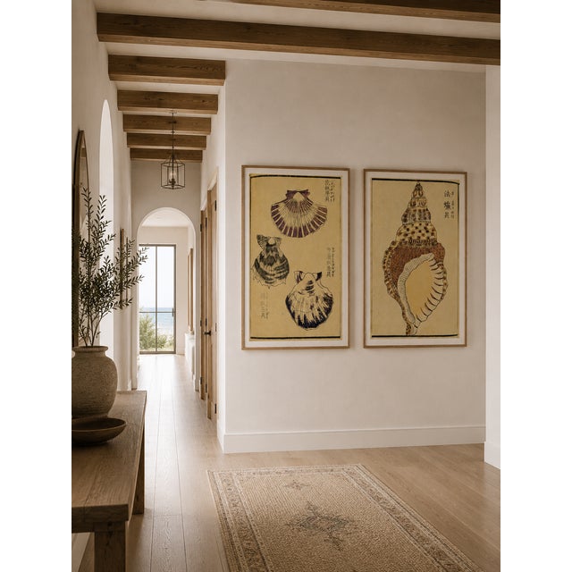 Vintage Japanese Seashell Studies Diptych, Woodblock Print Reproduction Set, 24" X 36" For Sale In Buffalo - Image 6 of 10