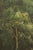 Large Hand Painted Oil Painting on Canvas Outdoor Garden Scene For Sale - Image 16 of 18