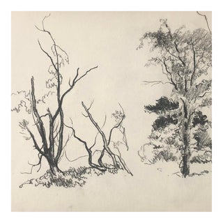 1930s Norman Kent Landscape Charcoal Drawing For Sale