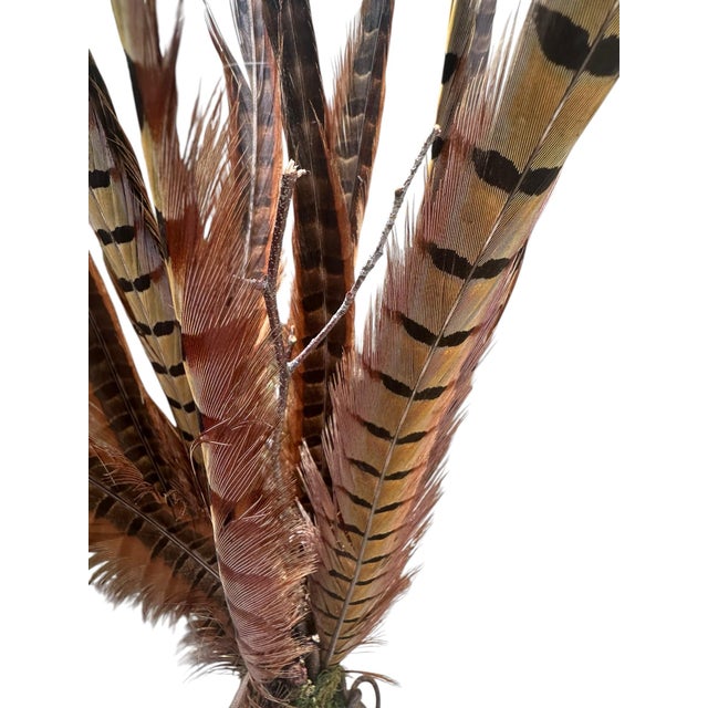 Contemporary Vintage Natural Pheasant Feather Sculptural Arrangement on Metal Base Sculpture With Moss & Twisted Vine For Sale - Image 3 of 12