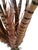 Contemporary Vintage Natural Pheasant Feather Sculptural Arrangement on Metal Base Sculpture With Moss & Twisted Vine For Sale - Image 3 of 12