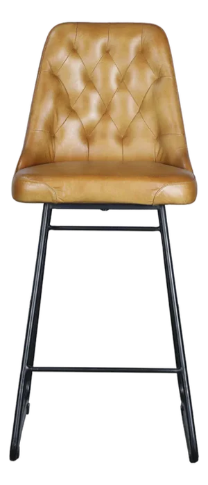 Matthew Izzo Home Verona Tufted Leather and Iron Bar Stool