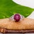 6.7cts Star Ruby Ring With Natural Diamond Accents: Solid 14k Gold, Size 6.75 For Sale - Image 4 of 8