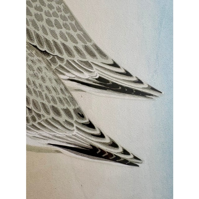 Modern 1970s Print - Sandpipers by David Grose For Sale - Image 3 of 11