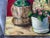 Vintage Still Life Oil Painting For Sale - Image 9 of 10