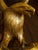 Hand-Carved Single-Piece Figure of an Eagle on Wood Plinth, Circa 1950s For Sale - Image 11 of 14