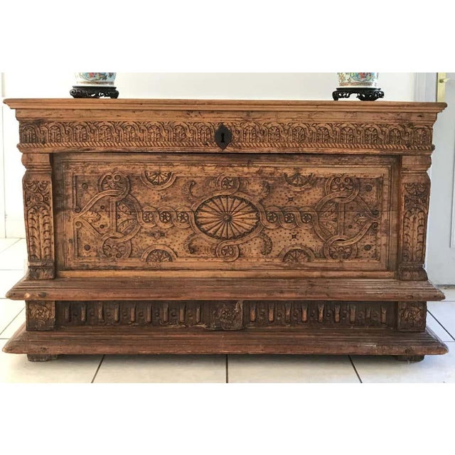 Renaissance Wooden Chest Carved with Vegetal Patter For Sale - Image 14 of 16