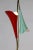 Mid Century 2-Light Pendant With Mint & Red Trumpet Flower Shades & Curved Stem For Sale In San Francisco - Image 6 of 13