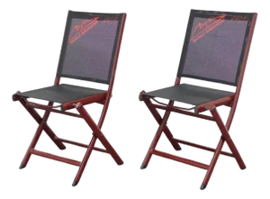 Folding Chairs by Michael Schumacher, 2000s, Set of 2