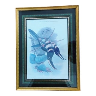 Rare John Gould & Richter Framed Toucan Litho Mid 19th Century Many-Banded Aracari "Pteroglossus Pluricinctus" 28x22 For Sale