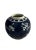 Asian Vintage Blue & White Prunus Blossom Ginger Jar For Sale - Image 3 of 9
