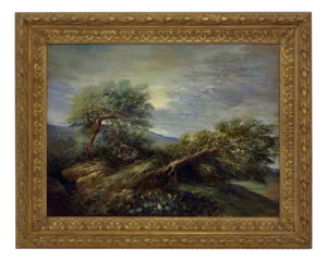 Landscape, Oil on Canvas, 2000s, Framed