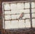 Burrowing Owl Wyoming by Delton Demarest | Mixed Media Owl perched by a window. For Sale